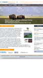 Mobile Screenshot of energy-innovation.org